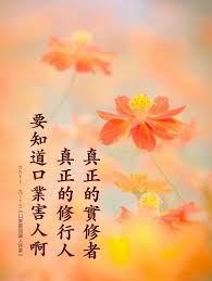 pin by siagetching guan yin citta on 优美佛言佛语beautiful dharma quotes buddha quotes wise quotes china quotes