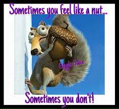 What does the jingle feel like a nut mean? Sunday Sermon And Sometimes You Feel Like A Nut Toni Andrukaitis