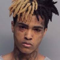 40+ "Minniefield" profiles