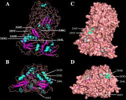 Check spelling or type a new query. Genome Wide Identification Molecular Evolution And Expression Analysis Of Auxin Response Factor Arf Gene Family In Brachypodium Distachyon L Bmc Plant Biology Full Text