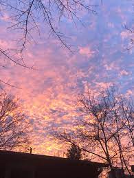 I'm gonna be outside for awhile just taking some pictures. For Once It Was Actually Beautiful Outside Aesthetic