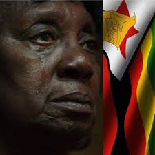 Democracy Advocate Initiative