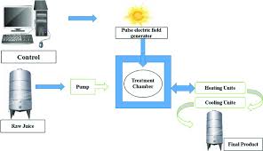 Flow Chart Of A Pef Food Processing System With Basic