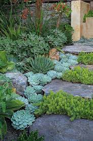 Can You Tell I Am Addicted To Succulents Plants Succulents Garden Beautiful Gardens