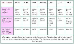 Pin By Darci Fontenot On Oh Baby Baby Food Chart 8 Month Baby Baby Food Recipes