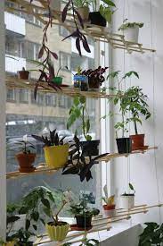 Diy Instant Hanging Shelves For Houseplants Gardenista Indoor Plant Shelves Plant Shelves Window Plant Shelf