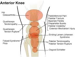 Knee Pain Self Healing Guide Your Dyi Tool To Knee Pain Releif