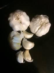 Growing Garlic North Carolina Cooperative Extension