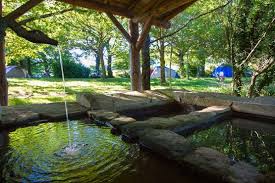 Campings A Carcassonne Decouvrez Les Camping Du Groupement Carcassonne
