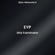 Image result for Gris Fulminator 2011 Citroen