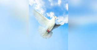 Obituary information for Cecil Ray Winzer