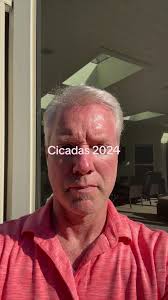 Cicadas Mn 2024