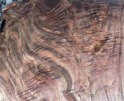 Check spelling or type a new query. Cutting And Storing A Walnut Tree Woodworking Talk