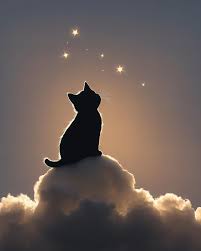 Page 4 | Chats nuages - Photos : téléchargez gratuitement des images de  haute qualité | Freepik