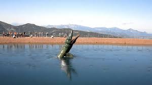 We would like to show you a description here but the site won't allow us. Doku Live Das Ungeheuer Von Loch Ness A D Steinplatte Youtube