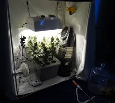 Check spelling or type a new query. Air Circulation Exhaust Tutorial Grow Weed Easy