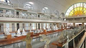 Roubaix Agrandit Sa Piscine Connaissance Des Arts