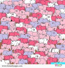 الغاز قوة الملاحظة بالصور العاب الذكاء والتركيز للكبار والصغار Hidden Images Brain Teasers Hidden Objects