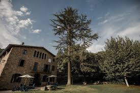 Maybe you would like to learn more about one of these? Can Riera De La Pineda Archivos Andrea Ferrara Fotografo De Bodas En Barcelona Wedding Photographer Barcelona