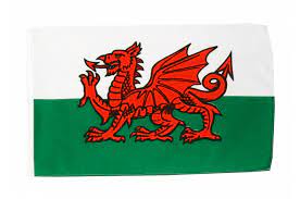 Slovénie drapeau personnalisé crest drapeau nom brodé patch. Drapeau Pays De Galles A Bas Prix Maison Des Drapeaux Com