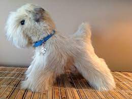 One Of A Kind Soft Coated Wheaten Terrier Plush By Kelseyandkeeva Soft Coated Wheaten Terrier Wheaten Terrier Plush Dog
