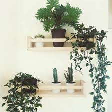 Ikea S Bekvam Spice Rack Is Ultra Hackable Yes You Can Use It To Store Your Spices Obviously But It Can Be Worked In Ikea Spice Rack Ikea Bekvam Spice Rack