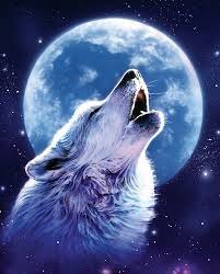 Call Of The Wild In 2021 Wolf Howling At Moon Wolf Background Wolf Howling