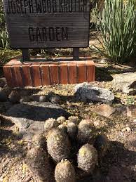 Learn more about guidestar pro. Tucson Cactus And Succulent Society Restores The Krutch Garden University Of Arizona Campus Arboretum