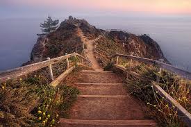 Muir Beach Overlook In 2020 Muir Beach California Travel Muir Woods California