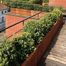We only provide the plate for these. Buy Rectangular Corten Steel Planters The Worm That Turned Revitalising Your Outdoor Space