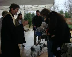 May god in heaven protect you on the way to and may his angel accompany you. article by cultural tourism blog by ibazela 231 Blessing Of The Animals Prayer Ceremony St Modestus St Francis