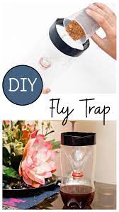 Make A Diy Fly Trap With Household Items Cheap Easy And Effective In 2020 Homemade Fly Traps Diy Fly Trap Fly Traps