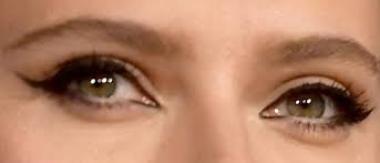 Which part of the eye is analogous to the photographic plates which were once used (and still are, but to a lesser extent) in cameras? Quiz Can You Identify The Celebrity Based On Their Eyes