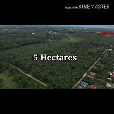 نتیجه جستجوی لغت [hectares] در گوگل