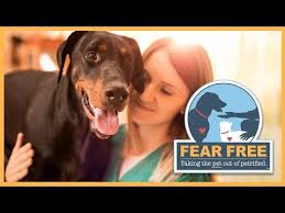 Maintain an active membership via an annual renewal fee. Fear Free Certified Vet Clinic In Raleigh Nc Bowman Animal Hospital Cat Clinic