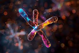 Study identified a genetic mutation that increases the chance of having a  daughter