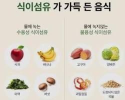 식이섬유 풍부한 음식