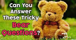 You definitely know your teddy's. Can You Answer These Tricky Bear Questions Quizpug