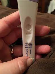 Clear Blue Pregnancy Test Control Window Blank Pregnancy Test