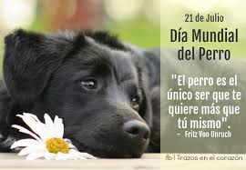 Todos los años se celebra el 21 de julio, para que ese día podamos demostrar a nuestros peludos amigos todo el amor que se han ganado. Eduardo Pena Auf Twitter 21 De Julio Dia Mundial Del Perro