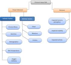Wound Assessment Body Diagram Schematics Online
