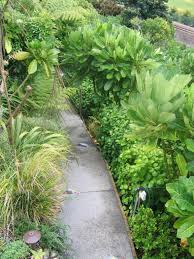 Get plant information, gardening solutions, design inspiration and discover unique garden products curated by the garden design editors, plus items you can use to. Earth Canvas Landscaping Thames Rural Residential Commercial Properties