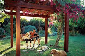Designing a backyard playground for the family dog keeps the pet, and their human counterparts, active. Backyard Ideas For Dogs Sunset Magazine