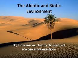 Biotic And Abiotic Factors In An Ecosystem Slideshare The Abiotic And Biotic Environment Abiotic Biotic Ecosystems