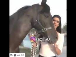 اجمل كلمات شعر في حب الخيل youtube