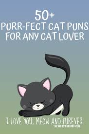 Check out our space puns selection for the very best in unique or custom, handmade pieces from our shops. 50 Hiss Terically Purr Fect Cat Puns For Any Cat Lover