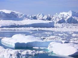 The marine algae of east greenland. Winterreisen Gronland Thobareisen