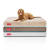 Clearance Orvis Dog Beds