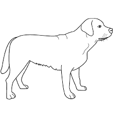Plus de soixante dessins en noir et blanc de chien à imprimer et a colorier gratuitement. Imprimer Coloriage Imprimer Coloriage Chien Gratuit