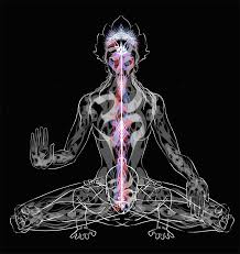 Yogini-Nyasa-Vidhim - Shadow Yoga